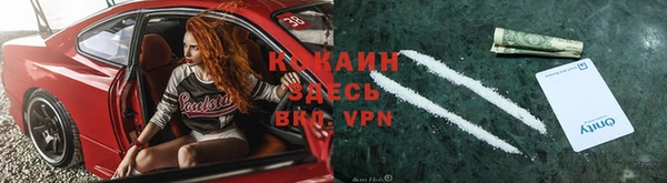 spice Алексин