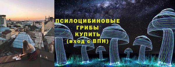spice Алексин