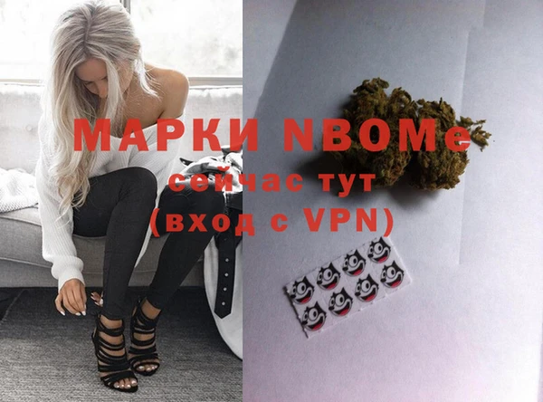 гашик Алзамай