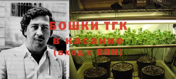 гашик Алзамай