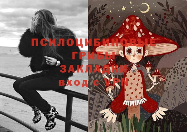 гашик Алзамай