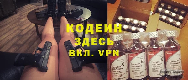 гашик Алзамай